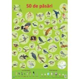 Plansa 50 de pasari - DPH