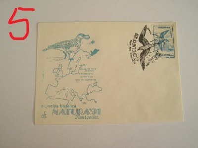 D11 - 1991 - tematica natura - pasari - Romania foto