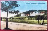 Brasov - Brasso - Castelul - printata, color, necirculata, Fotografie