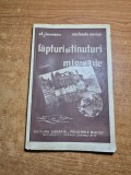 carte pentru copii - fapturi si tinuturi minunate - prefata de mircea eliade - din anul 1936
