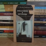 Pr. NICOLAS STEBBING - ANGLICANISM &amp; ORTODOXIE : PERSPECTIVE RELIGIOASE PENTRU O LUME POSTMODERNA , 2003 *