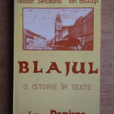 Blajul O istorie in texte Ion Buzasi, Teodor Seiceanu