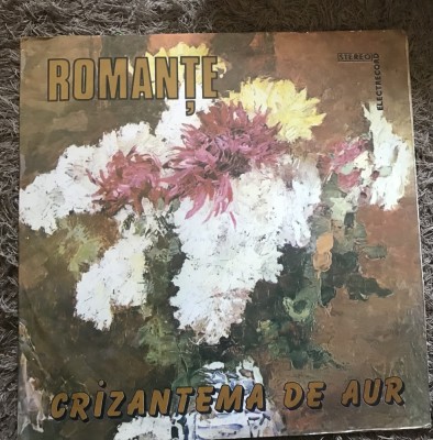 Vinil 2 Vinyl Electrecord Romante foto