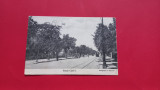 Iasi Strada Carol I Tramvai Tramway Trasura Carriage 1900, Circulata, Printata