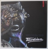 TAMAIAN , REFLEXII IN TIMP , CATALOG DE EXPOZITIE , 2015