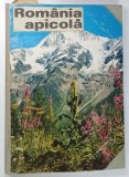 ROMANIA APICOLA , REVISTA LUNARA , COLEGAT DE 10 NUMERE , 1988
