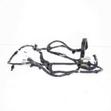 Cablaj Usa Dreapta Spate Tesla Model X 2017, Piesa Originala 3131815