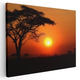 Tablou canvas apus in savana, Tanzania, portocaliu, negru 1189 Tablou canvas pe panza CU RAMA 30x40 cm