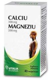 CALCIU MAGNEZIU 40CPR, Viva Pharma