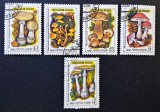 Ciuperci Otrăvitoare - URSS / U.R.S.S. 1986 - Set complet 5 Timbre Individuale Ядовитые грибы (Ștampilat / CTO) CP1_II