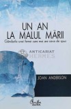 Cumpara ieftin Un an la malul marii. Gandurile unei femei care mai are ceva de spus - Joan Anderson (L139), Curtea Veche