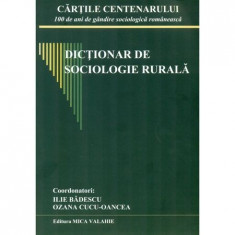 Dictionar de sociologie rurala - Ilie Badescu, Ozana Cucu-Oancea foto