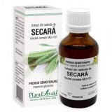 Extract din radicele de Secara, 50ml, PlantExtrakt