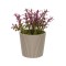 Ghiveci decorativ cu floare artificiala bordo, 6.5x11 cm, ATU-086345