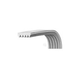 Curea transmisie J5 1173 pentru mașină de spălat rufe LG 4400FR3116A Compatibil