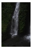 Tablou Canvas, "Cascada ascunsă &icirc;n pădure verde", Cascadă, Apă, Natură, Verdeață, Roci, Vegetație, Lumină, Ploaie, Frunze, Curgere, 26 x 39 cm, CMCLAS