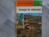 Peisaje in miscare de Constantin Chifane-Dragusani
