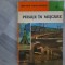 Peisaje in miscare de Constantin Chifane-Dragusani