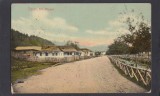 Carte Postala Romania Arges Rucar - Strada Papusa - rara