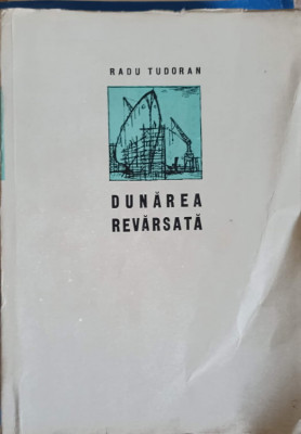 DUNAREA REVARSATA-RADU TUDORAN foto