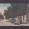 GIURGIU STRADA PRINCIPELE NICOLAE EDITURA ROBIN