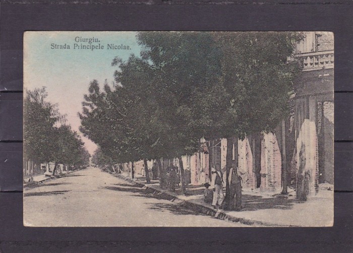 GIURGIU STRADA PRINCIPELE NICOLAE EDITURA ROBIN