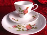 SET MIC DEJUN PORTELAN JOHANN SELTMANN BAVARIA SET CEASCA CAFEA CU FARFURII DECOR TRANDAFIRI