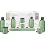 Baylis &amp; Harding Wellness. Energise set cadou Ginger, Lime &amp; Basil Leaf