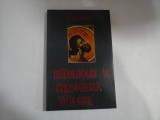 Cumpara ieftin INTRODUCERE IN GNOSEOLOGIA TEOLOGICA - NIKOS MATSOUKAS