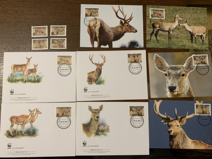 tajikistan - cerb - serie 4 timbre MNH, 4 FDC, 4 maxime, fauna wwf