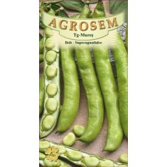 BOB SUPERAGUADULCE 20 g