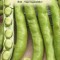 BOB SUPERAGUADULCE 20 g