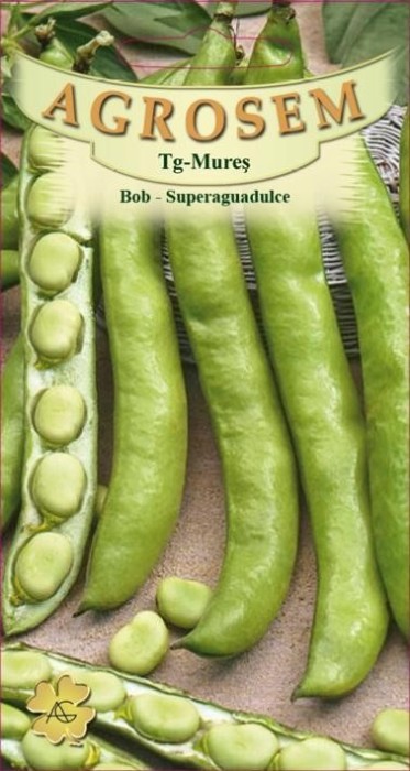 BOB SUPERAGUADULCE 20 g