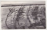 bnk cp Lacul Razelm - Inceput de furtuna la Dranov - circulata