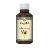 Sirop cu echinacea, 200ml, Faunus Plant