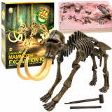 Set de excavare schelet de mamut 3D ZA1777 B