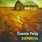 Cosmin Perta - Disparitia