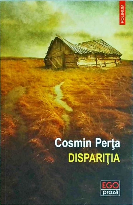 Cosmin Perta - Disparitia
