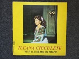 ILEANA CIUCULETE - Intr-o zi de mai cu soare