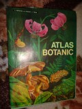 Atlas botanic - L.Popovici, C.Moruzi , I.Toma /an 1994 ( Predare personala Bucuresti. Nu trimit prin curierat )