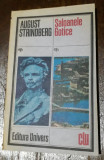 Saloanele Gotice - August Strindberg