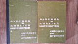 ALGEBRA SI ANALIZA MATEMATICA. Culegere de probleme - Donciu, Flondor (2 volume)