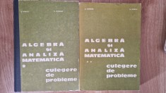 ALGEBRA SI ANALIZA MATEMATICA. Culegere de probleme - Donciu, Flondor (2 volume)