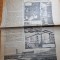 albina 18 ianuarie 1961-techirghiol,baia mare,raionul botosani,constantin david