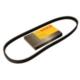 Curea transmisie cu caneluri NISSAN ALMERA I (N15) (1995 - 2000) BOSCH 1 987 946 081
