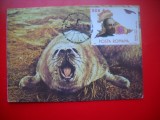 HOPCT MAXIMA ROMANIA NR 1257 FOCA -FAUNA MARINA