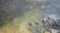 Foto  - 11