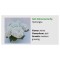 Blo.Hortensia NHS White Butterfly 28