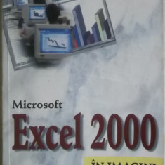 Nancy D. Warner - Microsoft Excel 2000 in imagini, Teora, 2001