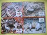 HOPCT MAXIMA NR 1066 SET 4 MAXIME CRABI COCOS KEELING ISLANDS 2000-FAUNA MARINA -FAUNA